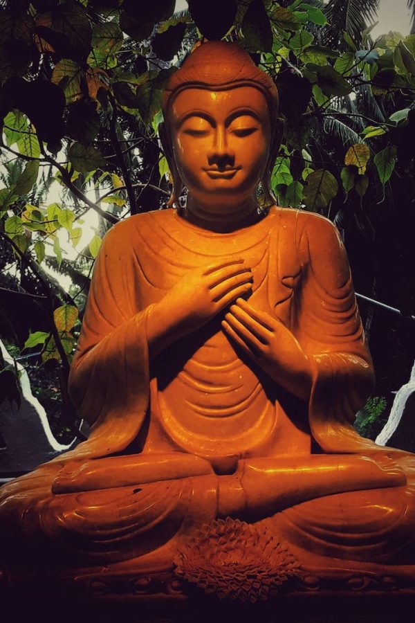 lahiru-supunchandra-xE0b_dSVf7A-unsplash lahiru-supunchandra-xE0b_dSVf7A-unsplash